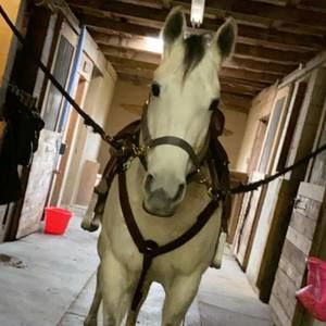 Meet your Posher, Kenna